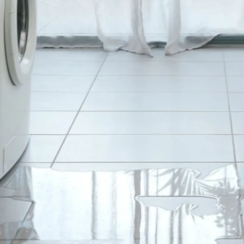 Appliance Leak Cleanup in Williamston, NC