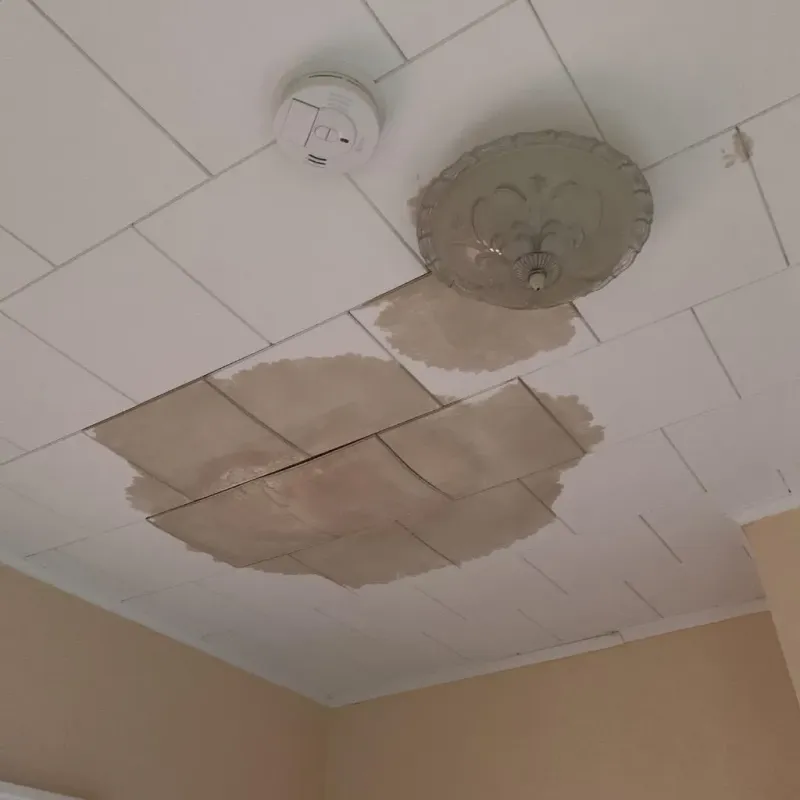 Ceiling Water Damage Repair in Williamston, NC