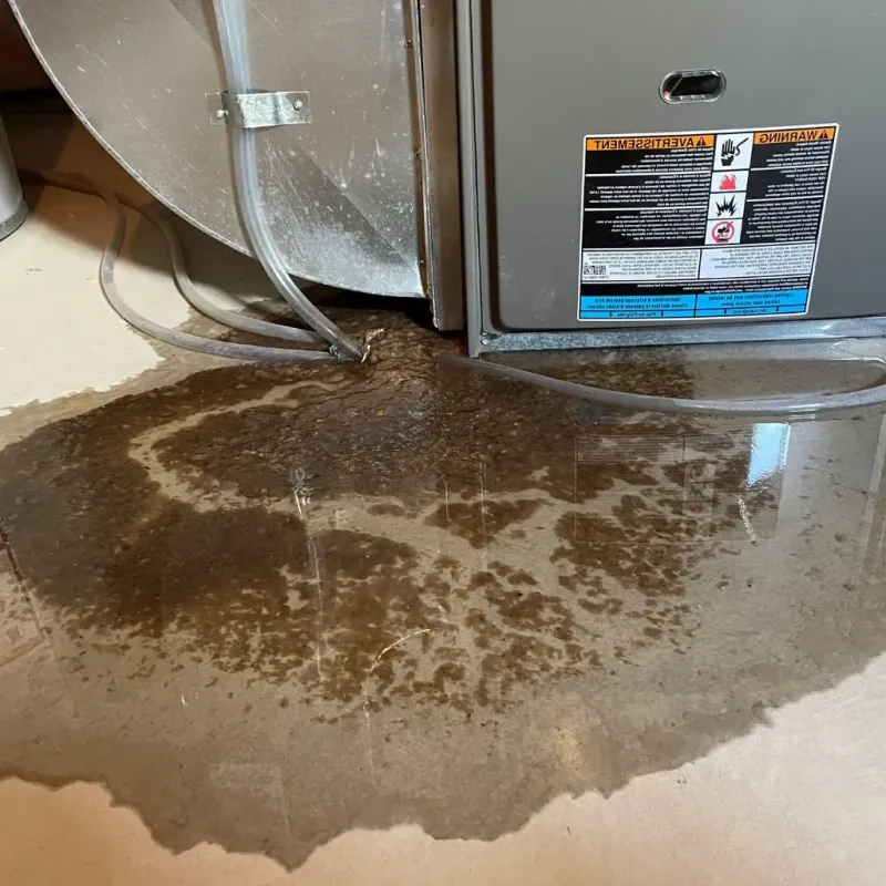 Pipe Burst and Leak Restoration in Williamston, NC